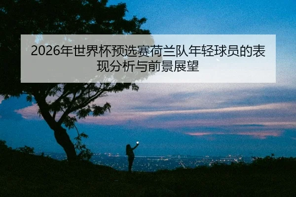 nian-shi-jie-bei-yu-xuan-sai-he-lan-dui-nian-qing-qiu-yuan-de-biao-xian-fen-xi-yu-qian-jing-zhan-wang-2-450.jpg